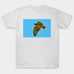 Flying High - Red Tail Hawk T-Shirt